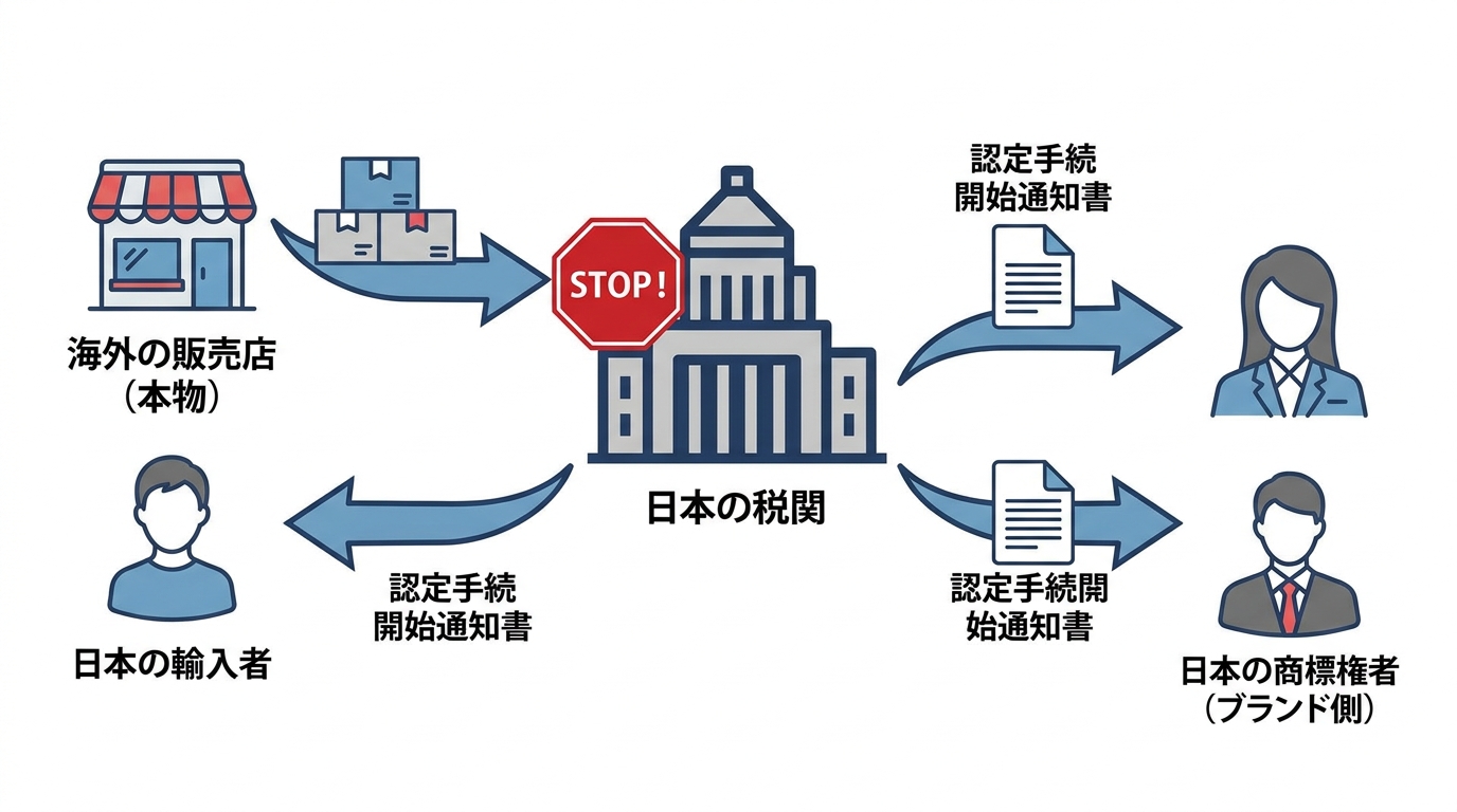 並行輸入品が税関で差し止められる仕組みの図解。海外の販売店から日本の輸入者へ商品が送られるが、税関で止められ、輸入者と日本の商標権者の双方に通知が行く流れが描かれている。